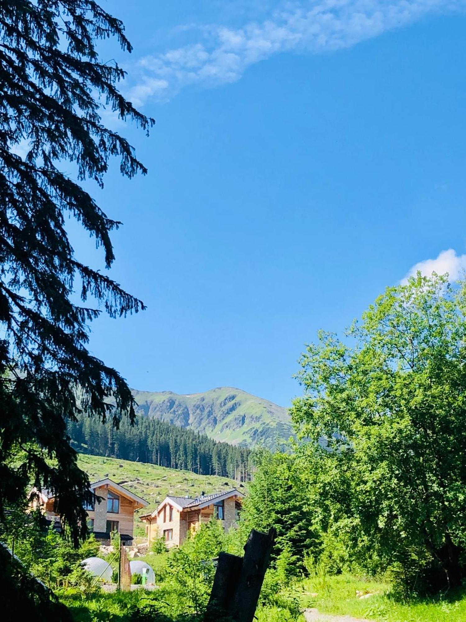 Jasna Otupne